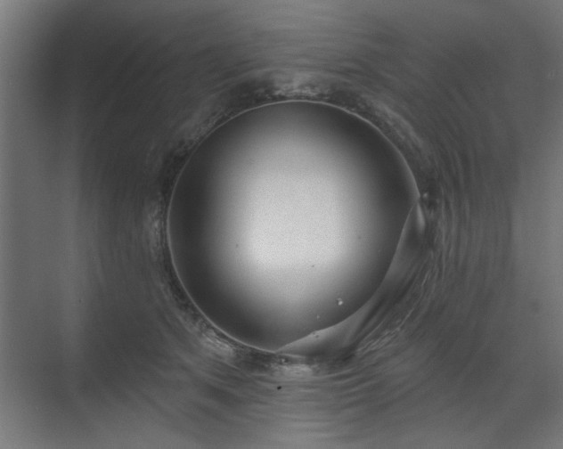 X0000070820513200606191226