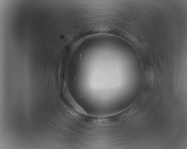 X0000070820517200606191226