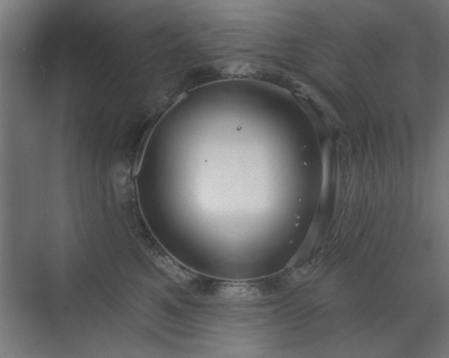 X0000070820521200606191225