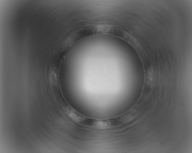 X0000070820522200606191225