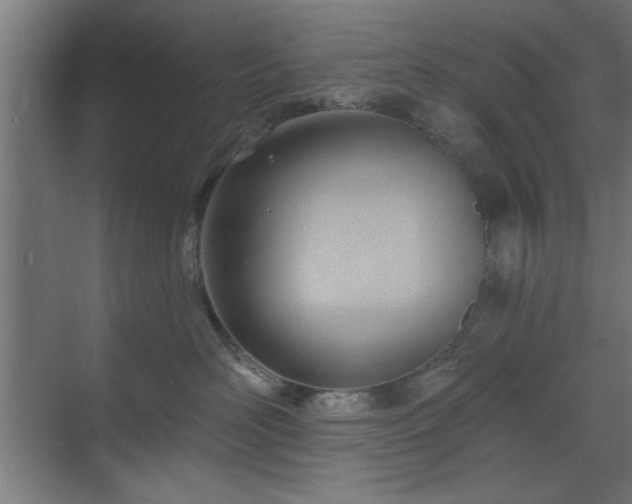 X0000070820526200606191225