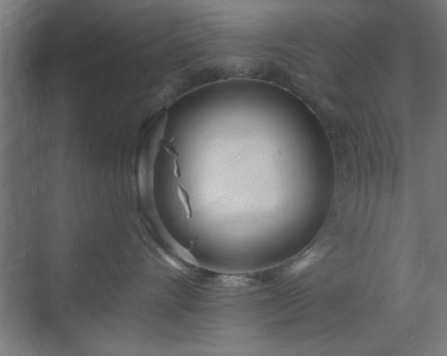 X0000070820528200606191225