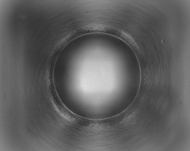 X0000070820538200606191225