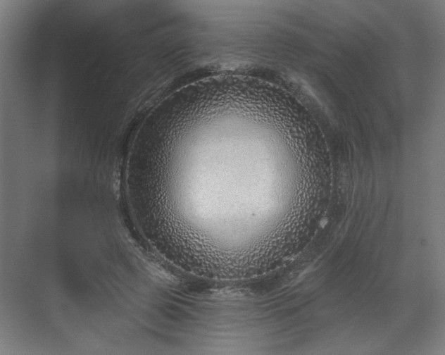 X0000070820545200606191225