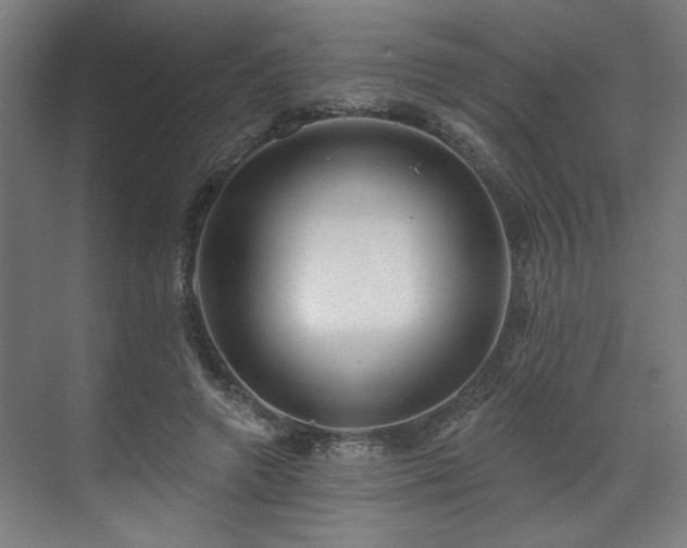 X0000070820546200606191225