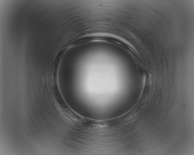 X0000070820552200606191225
