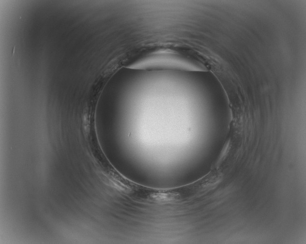 X0000070820558200606191225