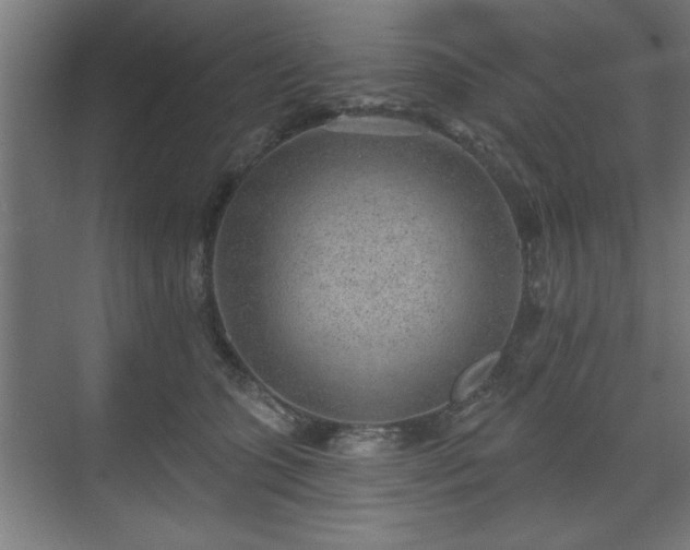 X0000070820563200606191225