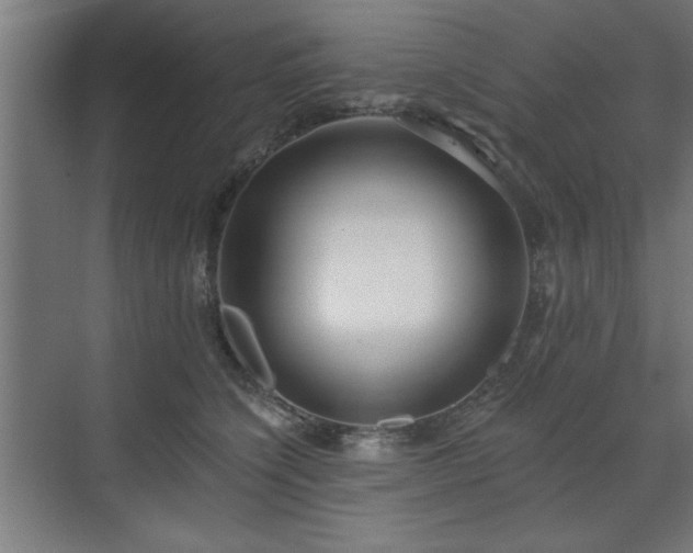 X0000070820564200606191225