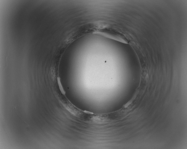 X0000070820568200606191225