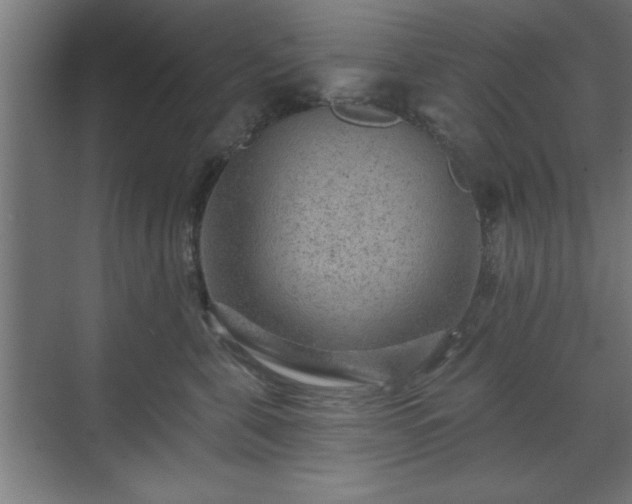 X0000070820571200606191225