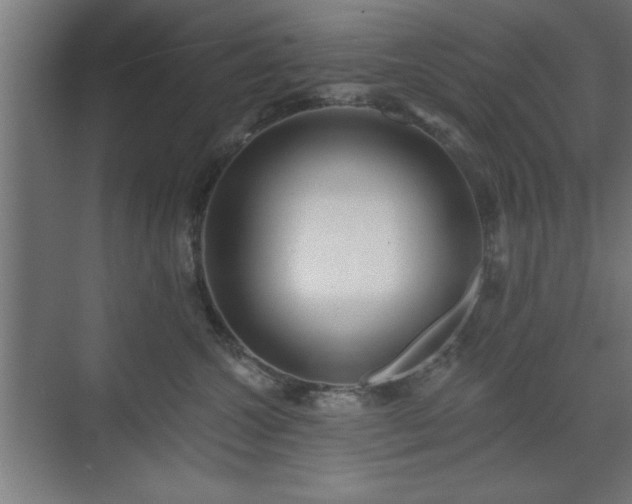 X0000070820572200606191225