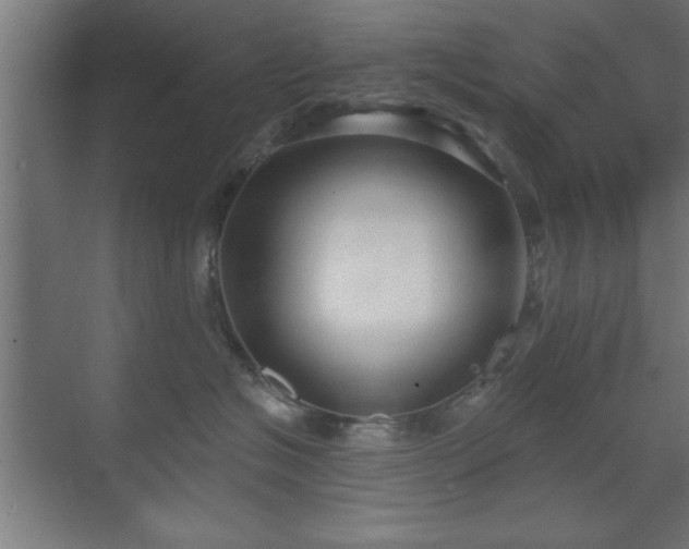 X0000070820574200606191225