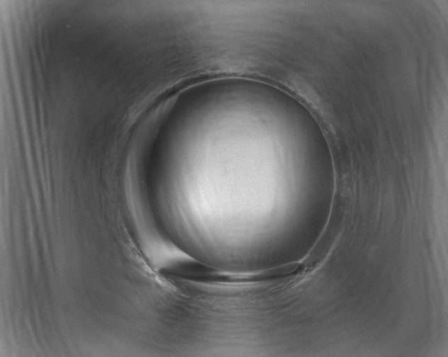 X0000070820577200606191225