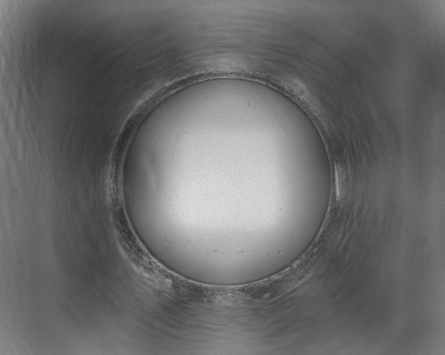 X0000070820579200606191225