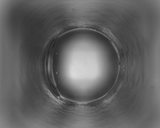 X0000070820585200606191224