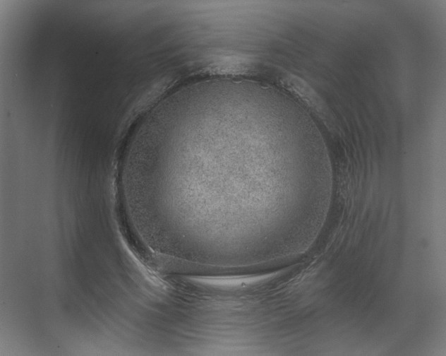 X0000070820586200606191224