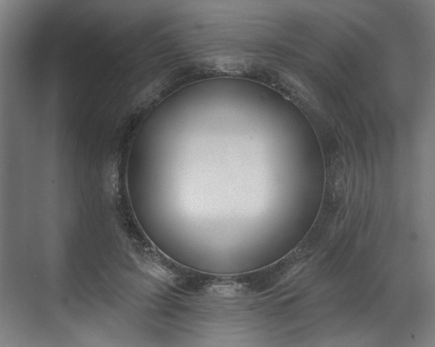 X0000070820595200606191224