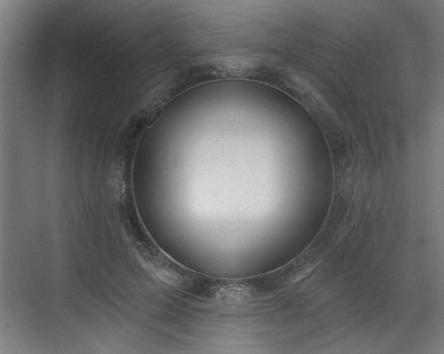 X0000070820599200606191224