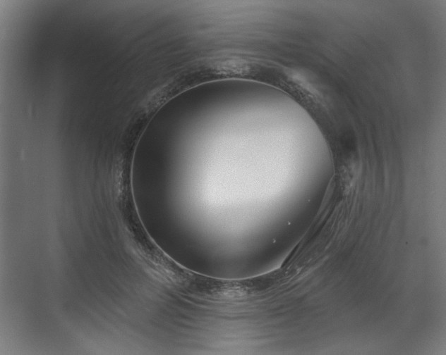 X0000070820600200606191224