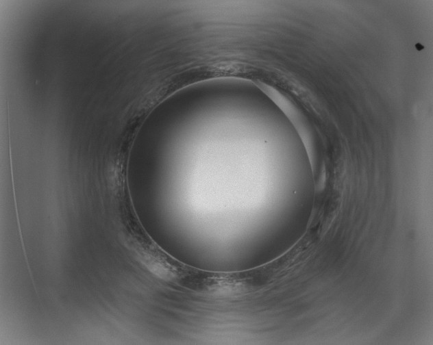 X0000070820601200606191224