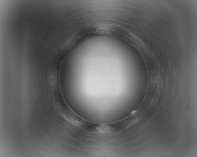 X0000070820603200606191224