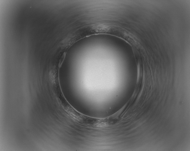 X0000070820604200606191224