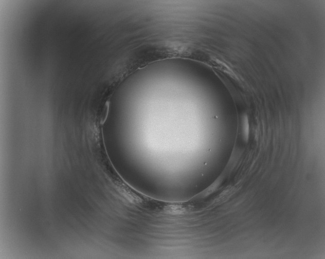 X0000070820613200606191224