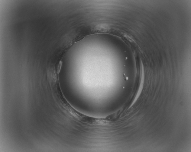 X0000070820617200606191224