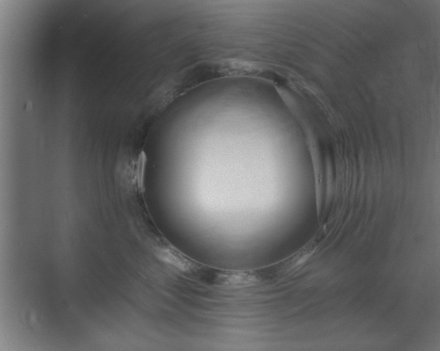 X0000070820621200606191224