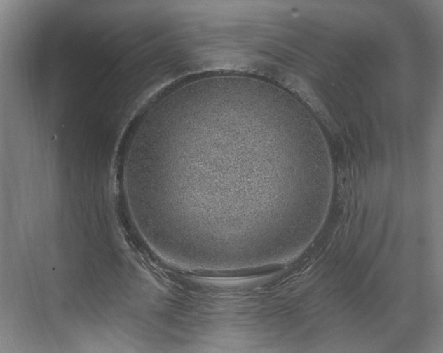 X0000070820628200606191223