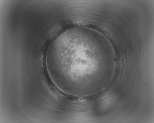 X0000070820647200606191223