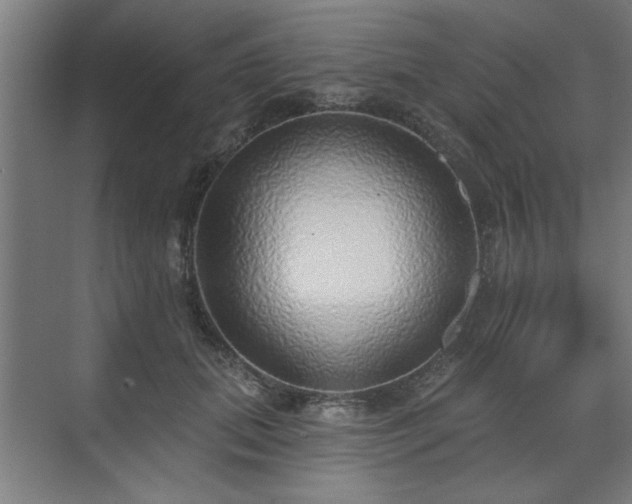 X0000070820655200606191223