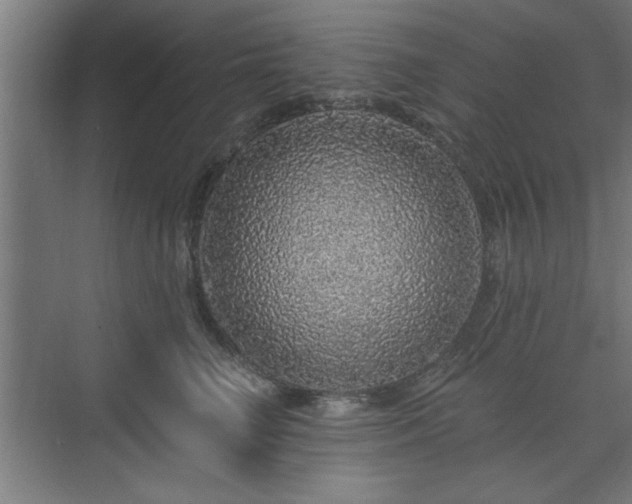 X0000070820662200606191224