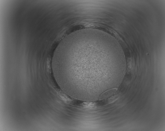 X0000070820667200606191224