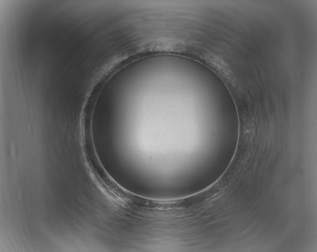 X0000070820678200606191223