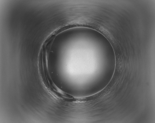X0000070820680200606191223