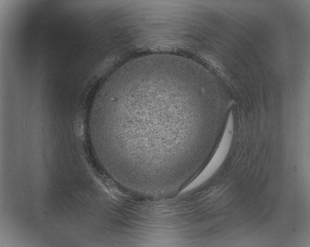 X0000070820687200606191223