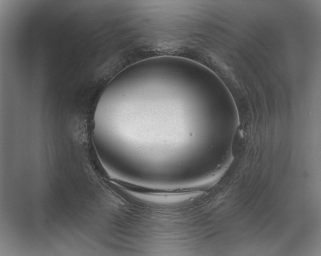 X0000070820689200606191223