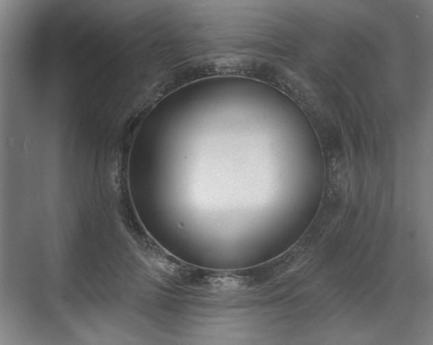 X0000070820698200606191223