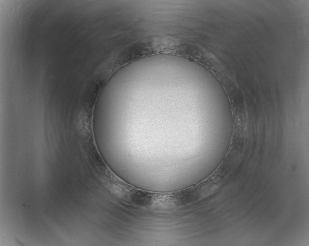 X0000070820705200606191222