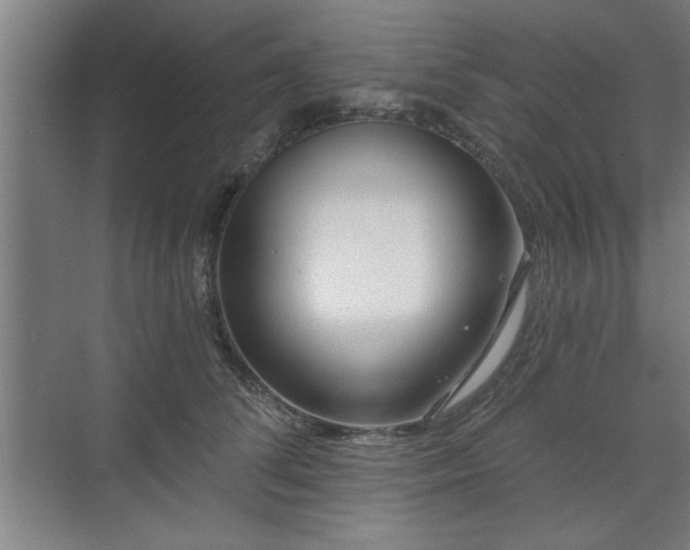 X0000070820708200606191222