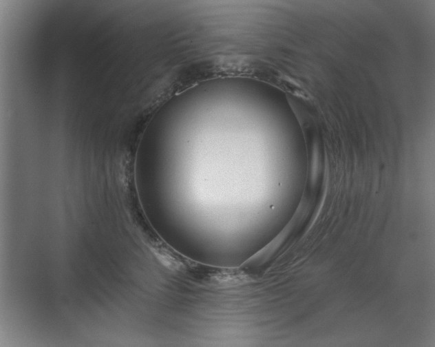 X0000070820712200606191222