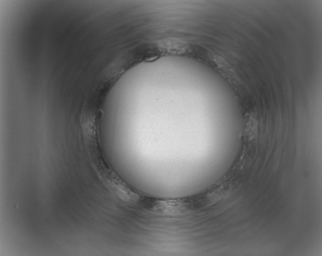 X0000070820713200606191222