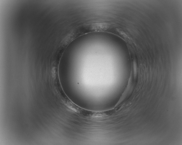 X0000070820716200606191222