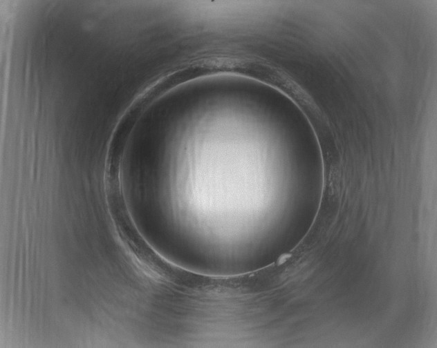 X0000070820722200606191221