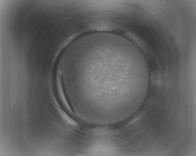 X0000070820725200606191221