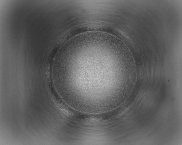 X0000070820737200606191222