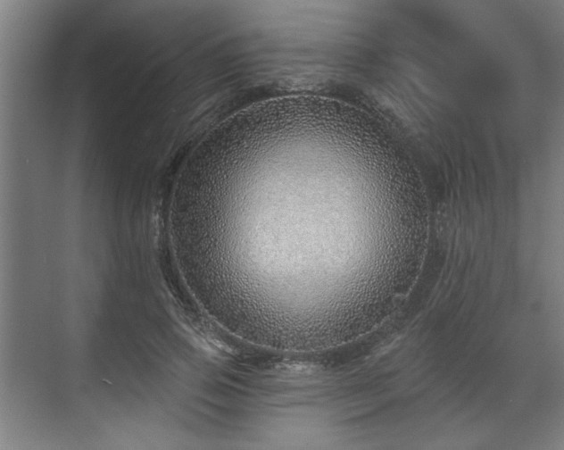 X0000070820741200606191222
