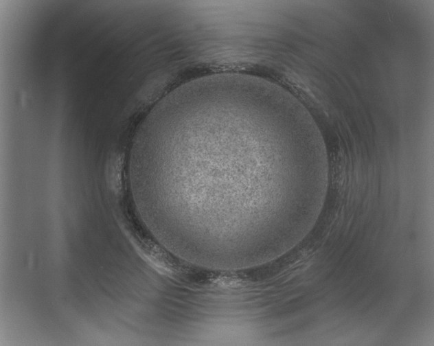 X0000070820742200606191222